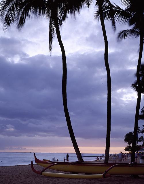 Boat and Palm tree outline at a Hawaii Beach.
