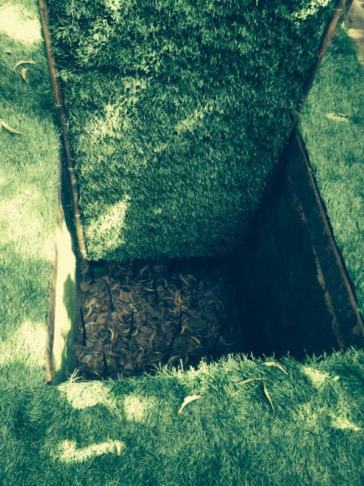 1654428_10101129079627172_626058396_n