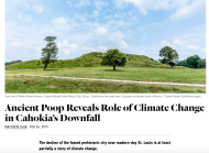 Screen Shot 2019-07-15 at 9.08.48 AM