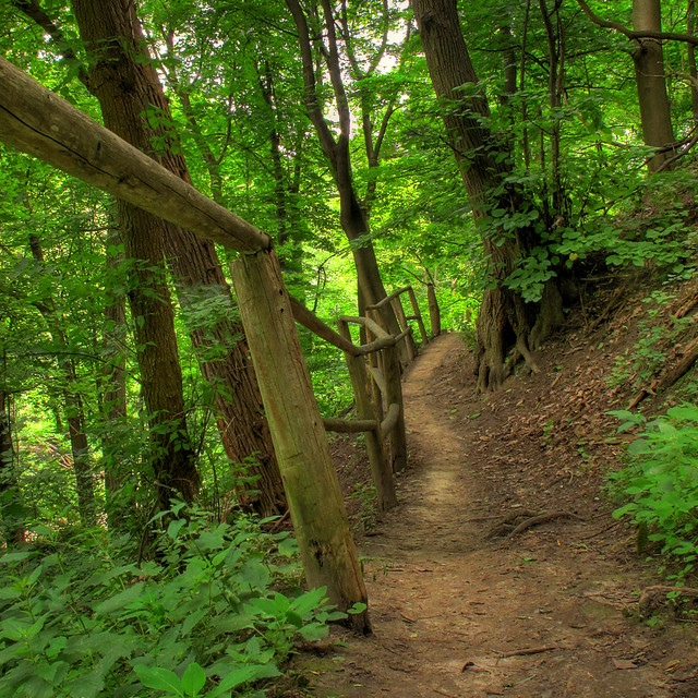 4751687013_d1622e6e82_z