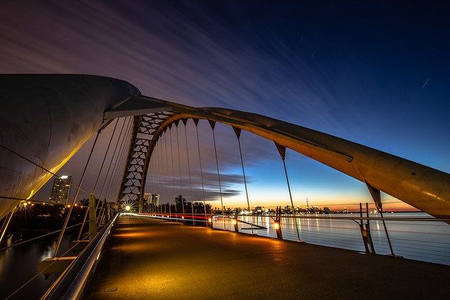 48692989876_98880cfbd2_z