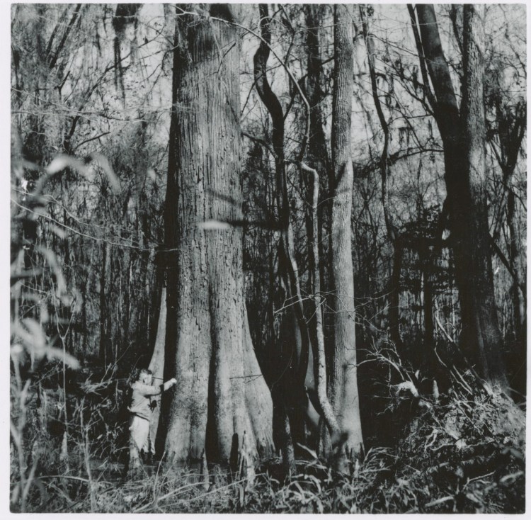 cong_photo_s4_ss1_box1_276