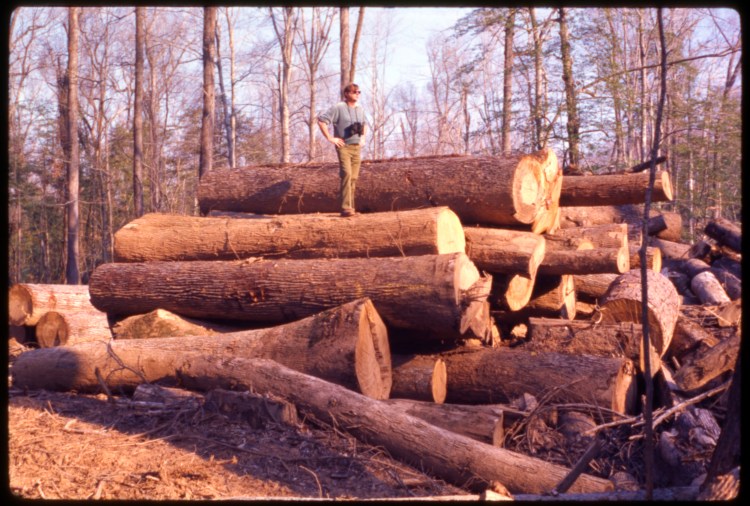 cong_photo_s4_ss2_box2_165 Loading yard