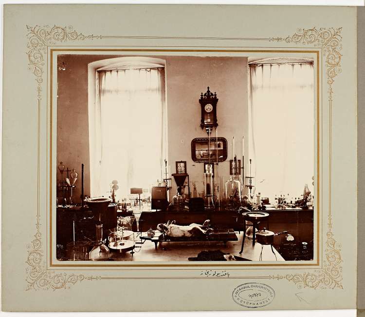 A sepia-tone image showing a lab with two large, curtained windows, a clock hanging on the wall between them, and desks dotted with lab equipment. A desk in the foreground has a tray with a rabbit-sized animal lying belly-up. It is set in a decorative frame and has a black university stamp on the lower right-hand corner